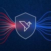 DDoS protection & network firewall